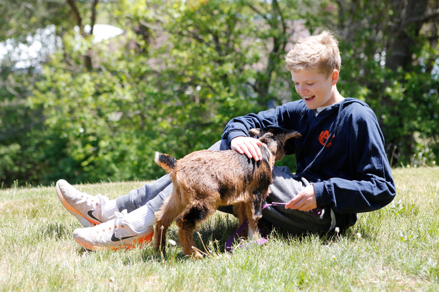 Breakfast with the Animals at Plimoth Patuxet Museums