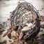 Native Clambake
